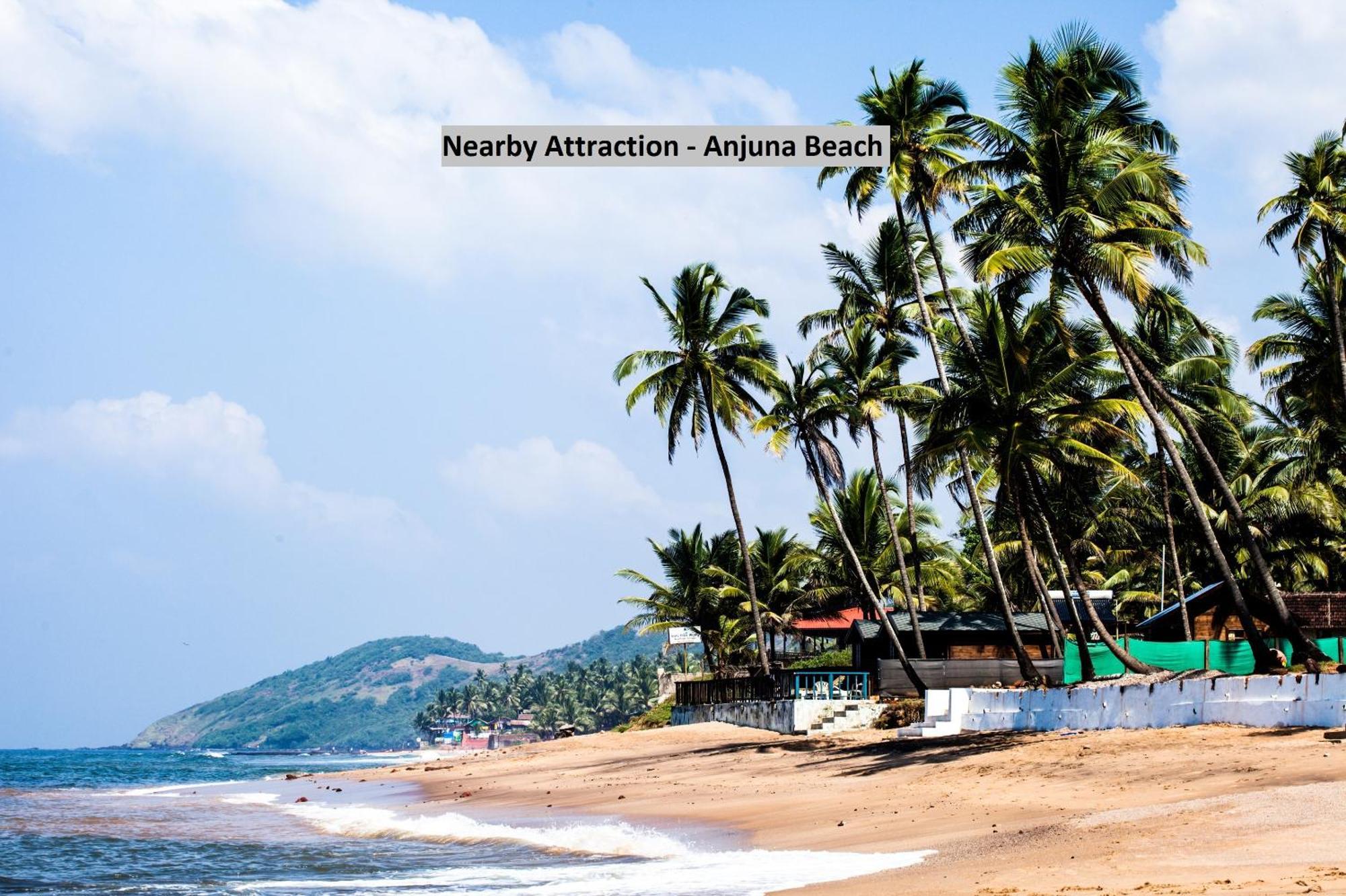 O Star Near Anjuna